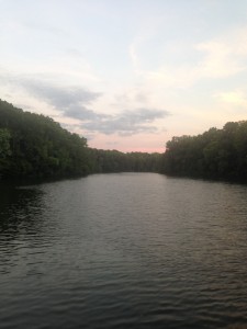 IMG_3903