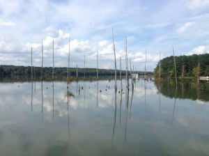 2014-10-09 13.47.07