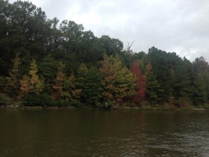 2014-10-11 10.35.43