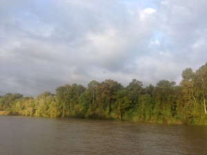 2014-10-14 07.44.24