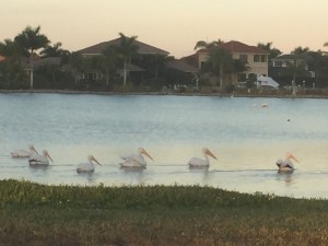 IMG_5685