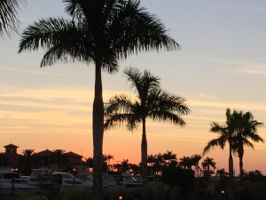 IMG_5689