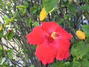 IMG_5700