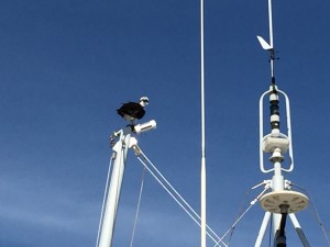 IMG_5808
