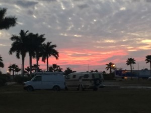 IMG_6179