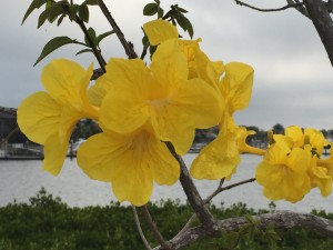 IMG_6471