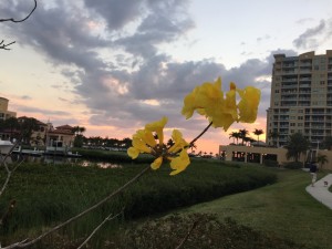 IMG_6475